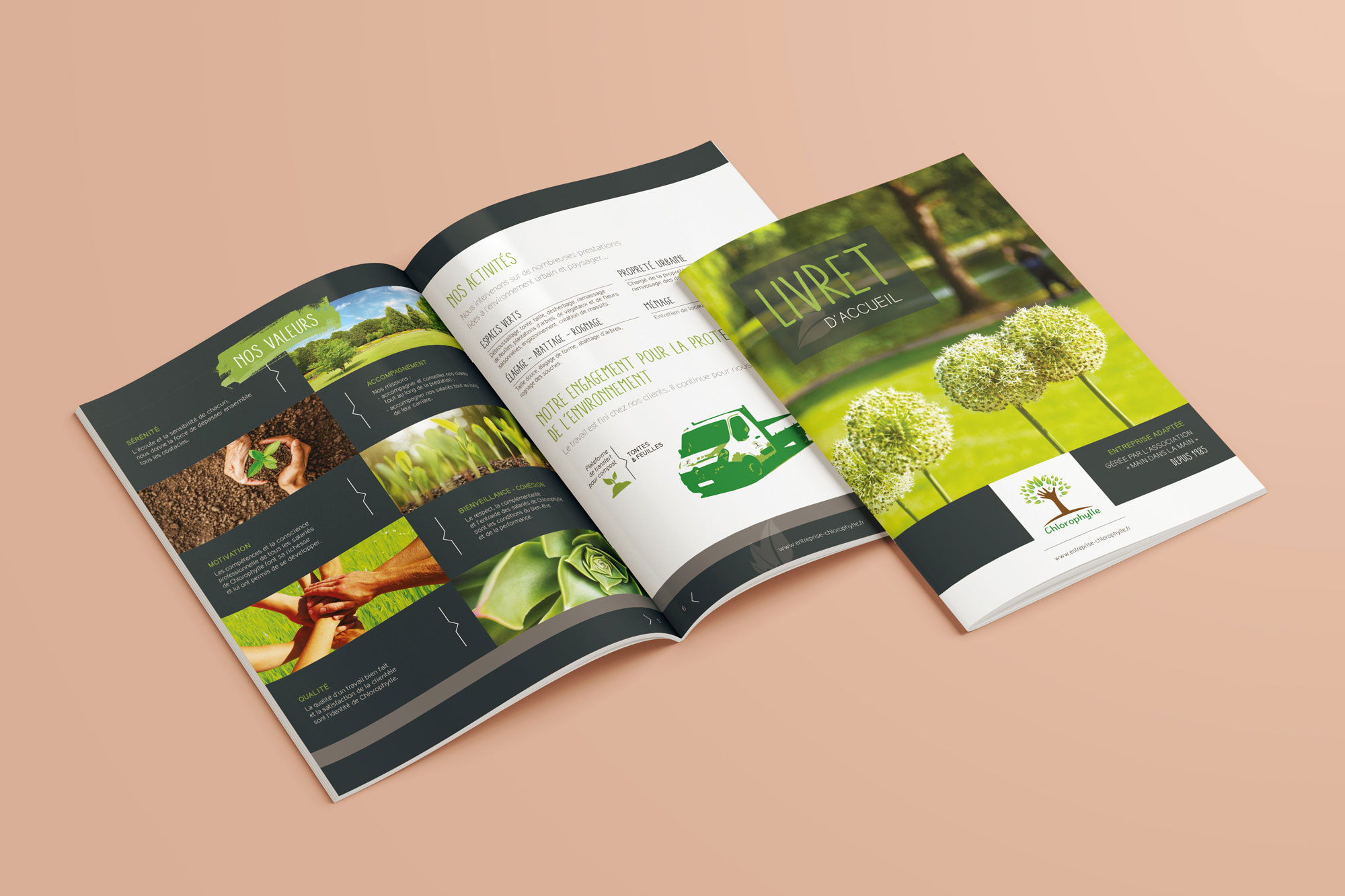 Chlorophylle • Brochure Livret d’acceuil