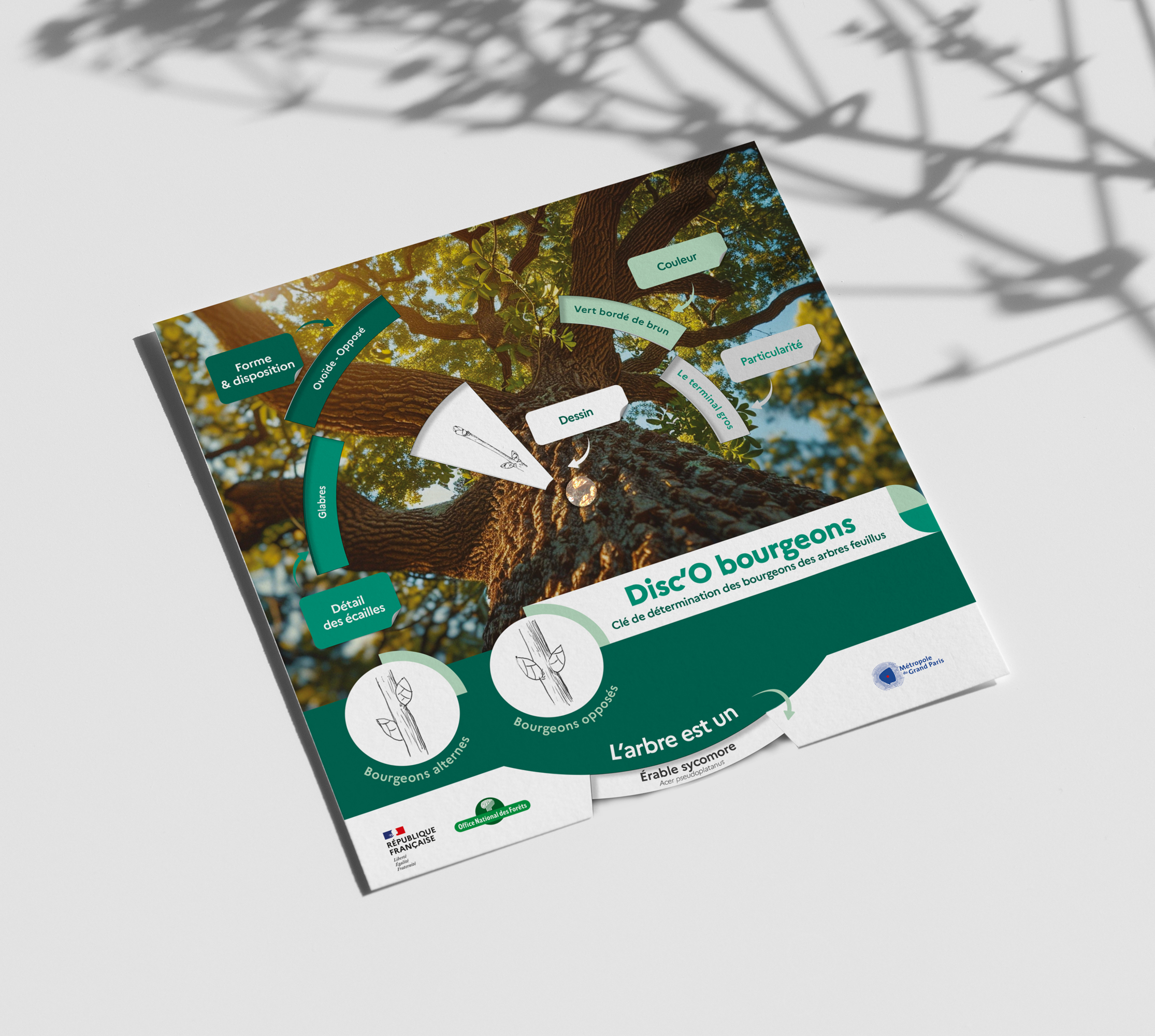 ONF • Disc’O Bourgeons imprimerie disque