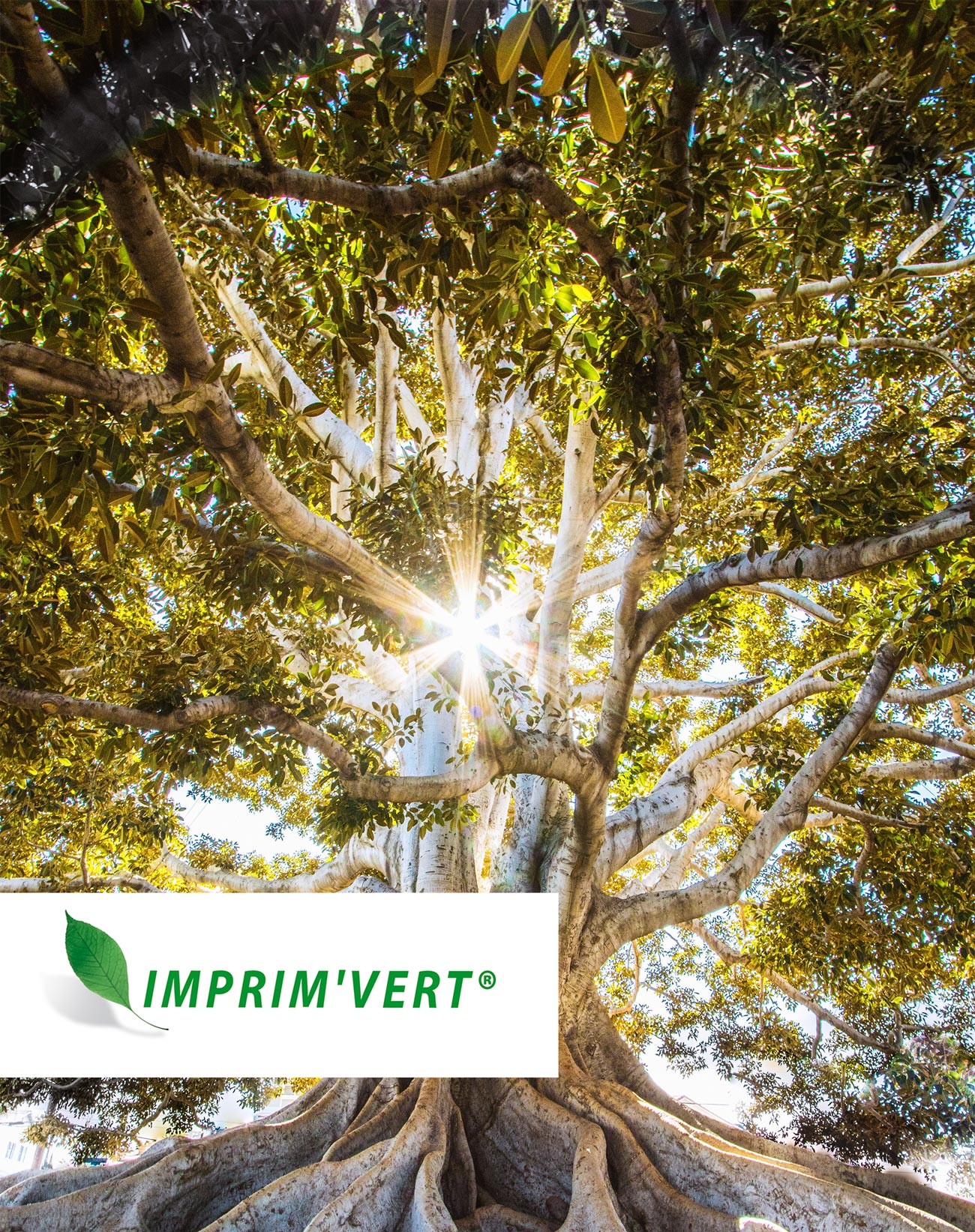 imprimvert-visuel-ecologie-responsable-imprimerie certification Imprimvert