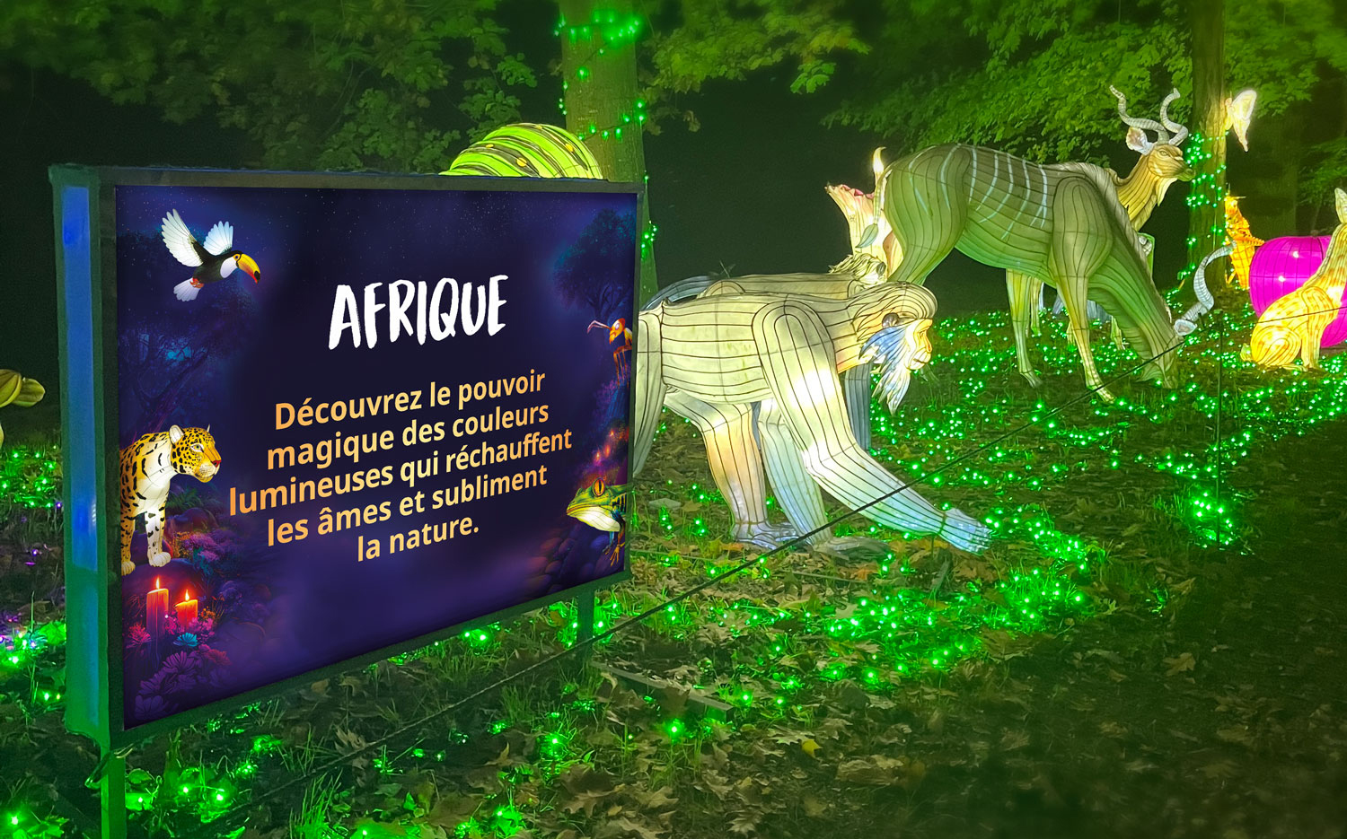 Création de panneau lumineux pour Thoiry Lumières Sauvages - Agence Créatis